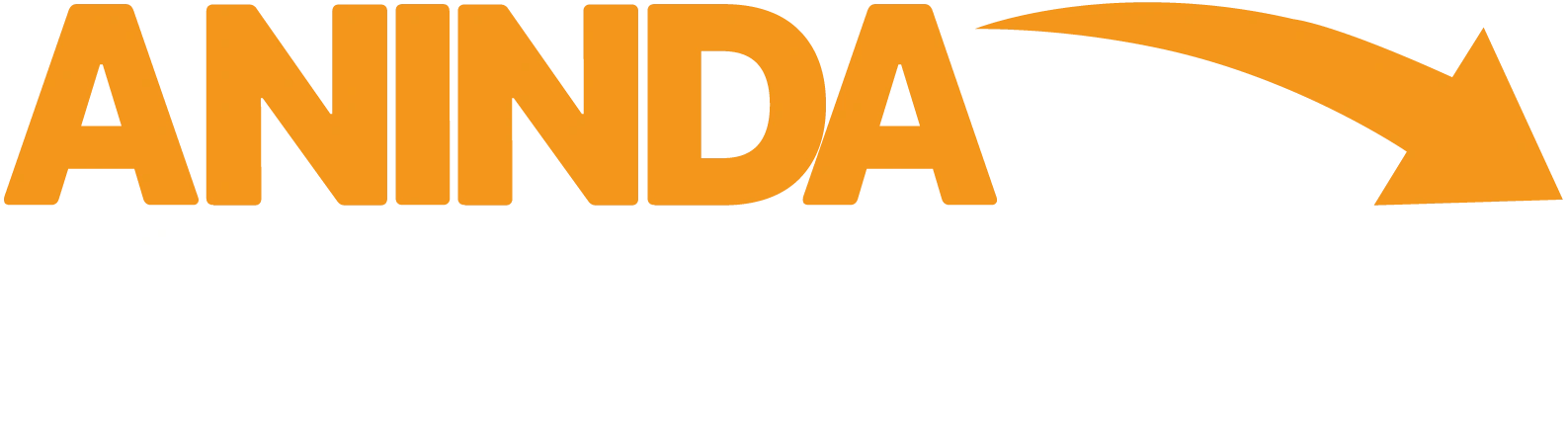 ANINDA HAVALE